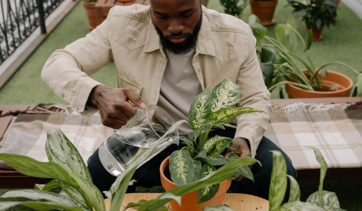 balcony garden watering schedule 2026 — Balcony Garden Watering Schedule 2026: Essential Guide — Photo by cottonbro studio on Pexels