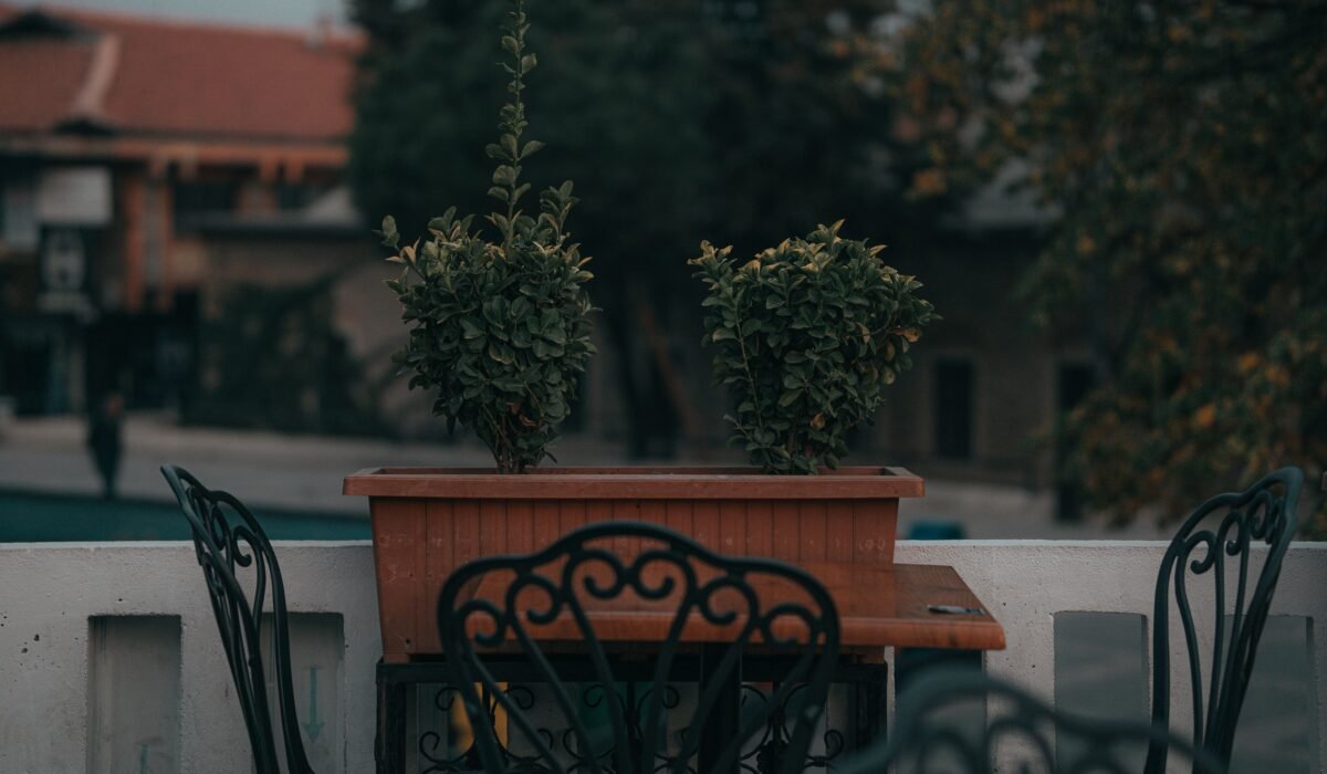 Balcony vs. Terrace Garden — Balcony vs. Terrace Garden: 7 Essential Differences — Photo by Enes Karahasan on Pexels