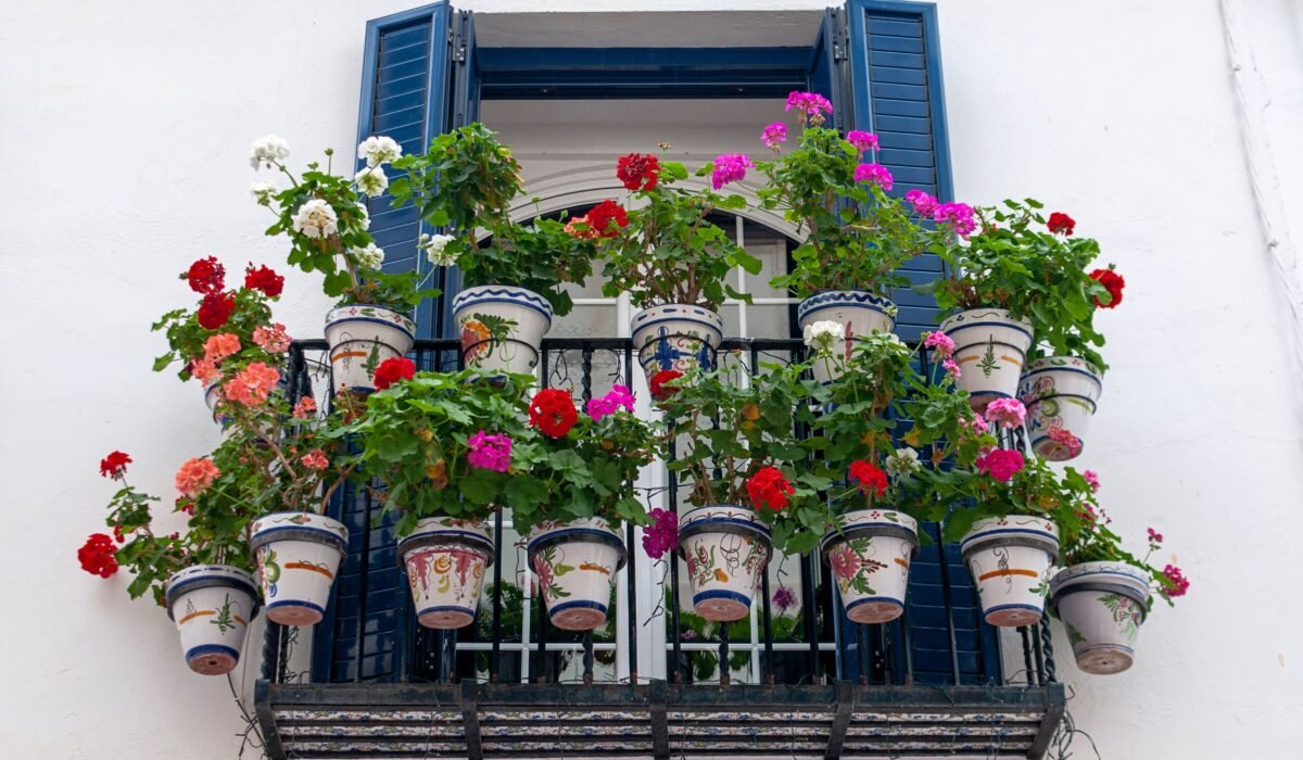 Best Flowering Plants for Balcony Gardens — Best Flowering Plants for Balcony Gardens: 7 Easy Choices — Photo by Antonio Lorenzana Bermejo on Pexels