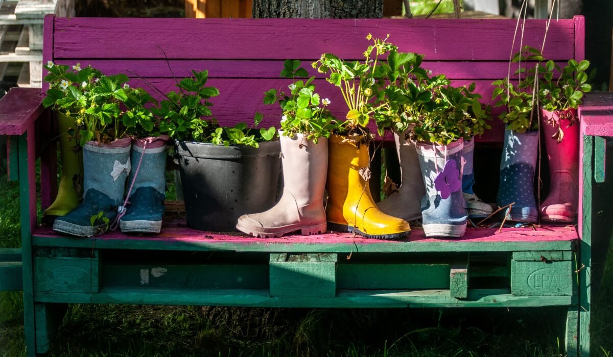 best flowers for pots and planters — Best Flowers for Pots and Planters: 7 Expert Tips — Photo by wal_ 172619 on Pexels
