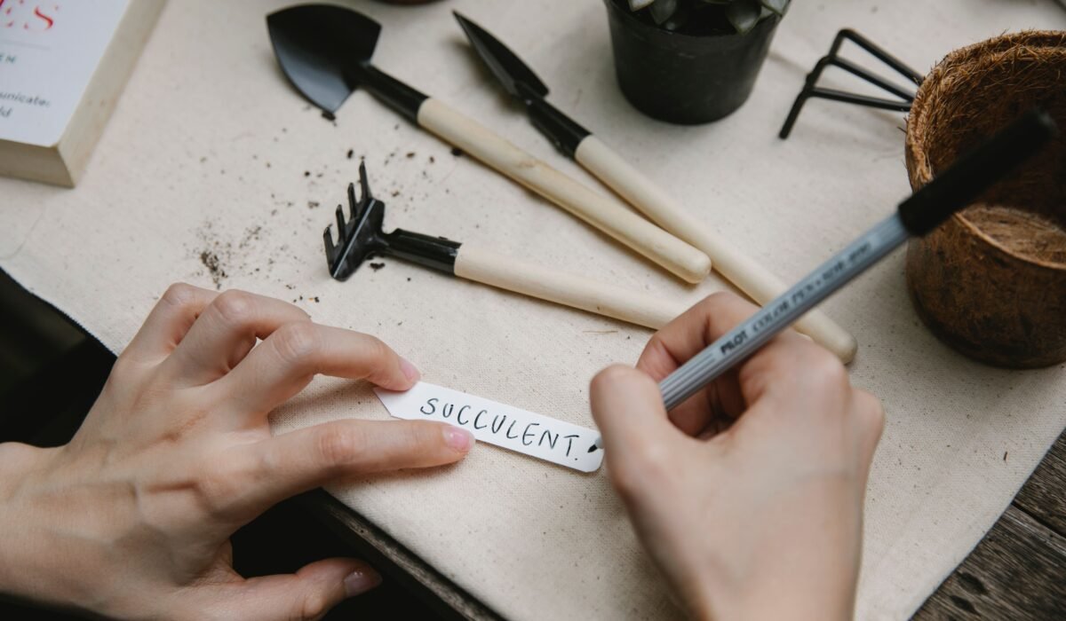Essential Steps for Basic Garden Planning — Essential Steps for Basic Garden Planning: 7 Easy Tips — Photo by Gary Barnes on Pexels