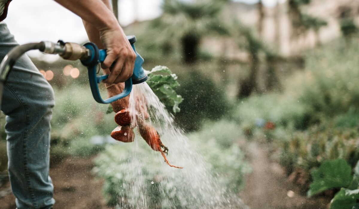 basic garden watering techniques — Basic Garden Watering Techniques: 7 Essential Steps — Photo by Taryn Elliott on Pexels