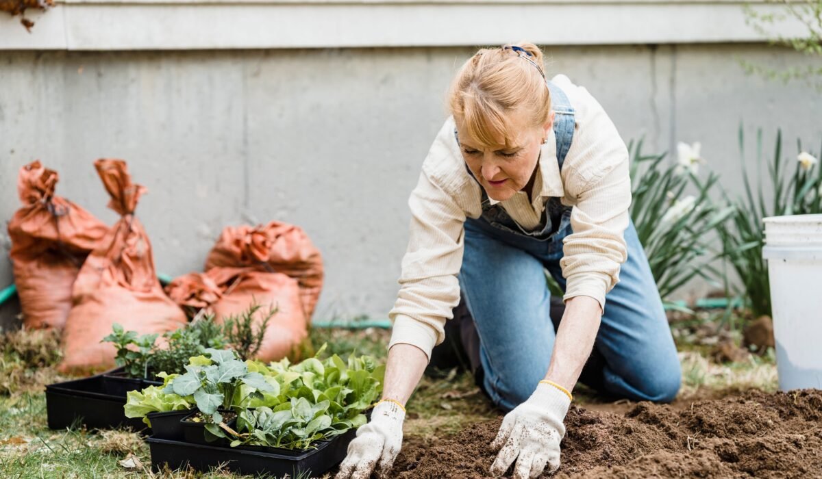 Composting for Beginners — Composting for Beginners: 5 Easy Steps to Start Today — Photo by Greta Hoffman on Pexels