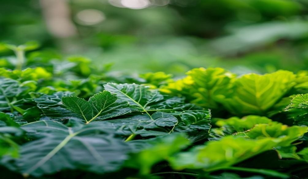 Growing Leafy Greens Vegetable Patch — Growing Leafy Greens Vegetable Patch: Easy 2026 Guide
