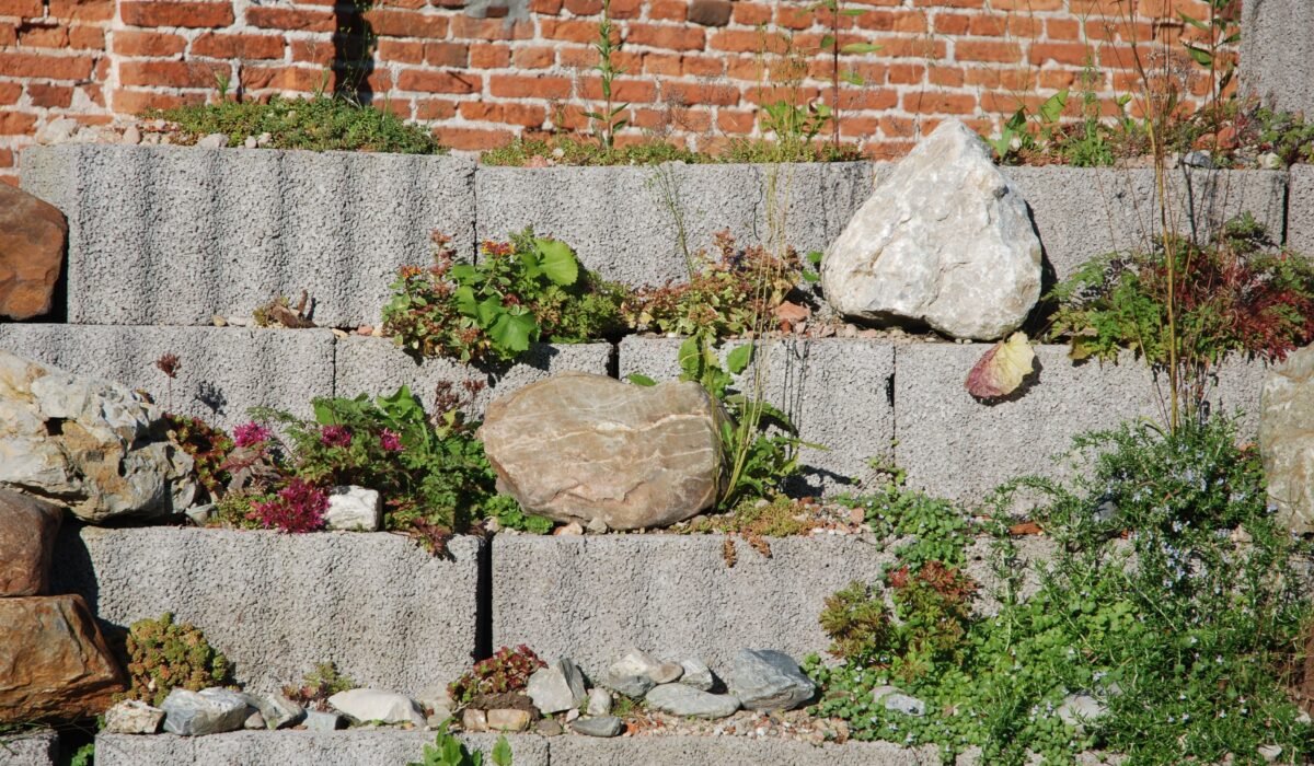 Create Organic No-Dig Garden — Create Organic No-Dig Garden: 7 Simple Ways for Beginners — Photo by Elien on Pexels