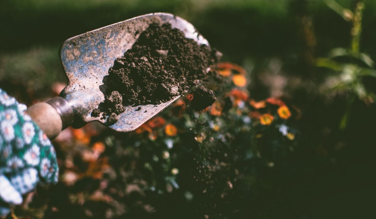 Prevent Flower Garden Pests Organically — Prevent Flower Garden Pests Organically: 7 Effective Ways — Photo by Lisa from Pexels on Pexels