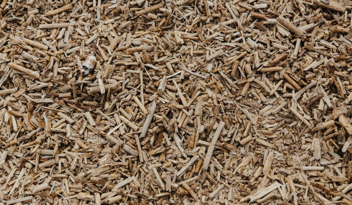 benefits of organic mulch — Benefits of Organic Mulch: 7 Essential Ways to Transform Your Garden — Photo by Ron Lach on Pexels