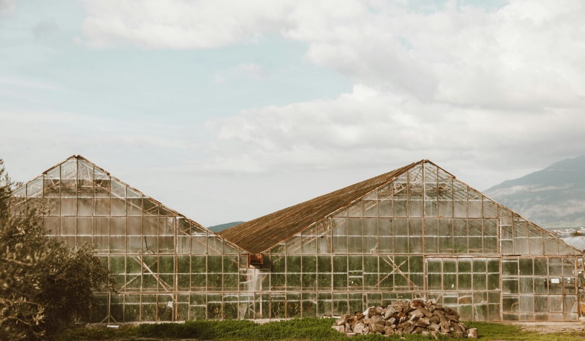 Organic Greenhouse Gardening 2026 — Organic Greenhouse Gardening 2026: Ultimate Season Extension — Photo by ROMAN ODINTSOV on Pexels