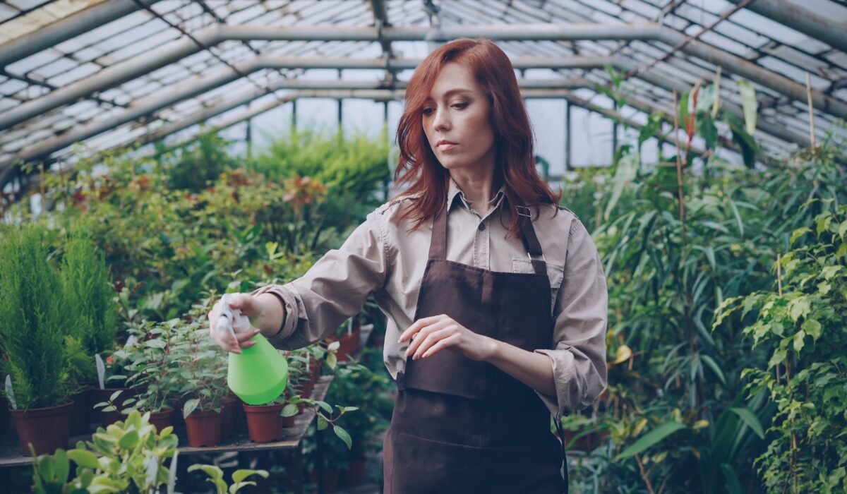 organic pest control indoor plants — Organic Pest Control Indoor Plants: 7 Effective Solutions 2026 — Photo by Vitaly Gariev on Pexels