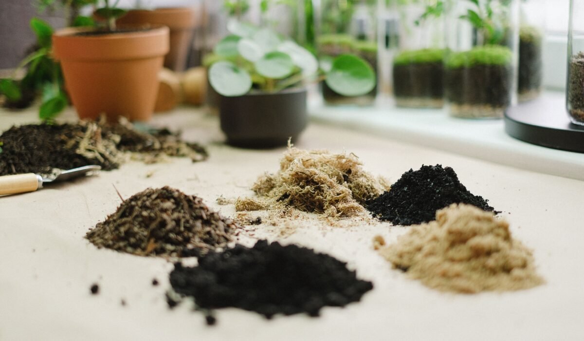 DIY indoor plant terrarium — DIY Indoor Plant Terrarium: 7 Easy Steps — Photo by Anna Shvets on Pexels