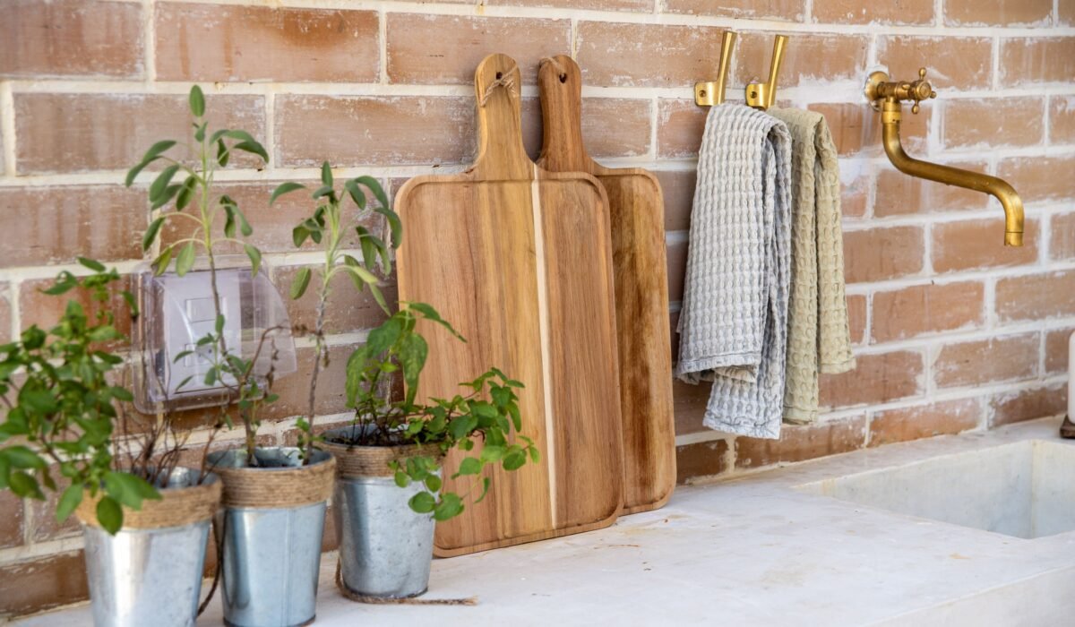 Growing Culinary Herbs in Pots — Growing Culinary Herbs in Pots: 7 Essential Tips — Photo by isabel ph on Pexels