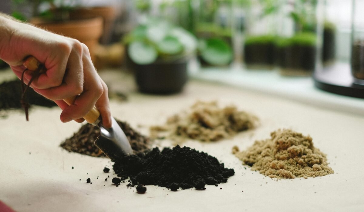understanding soil types for beginners — Understanding Soil Types for Beginners: Simple 2026 Guide — Photo by Anna Shvets on Pexels