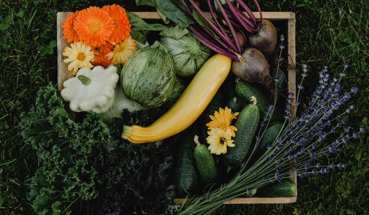 how to start square foot garden — How to Start Square Foot Garden: 7 Easy Ways — Photo by Eva Bronzini on Pexels