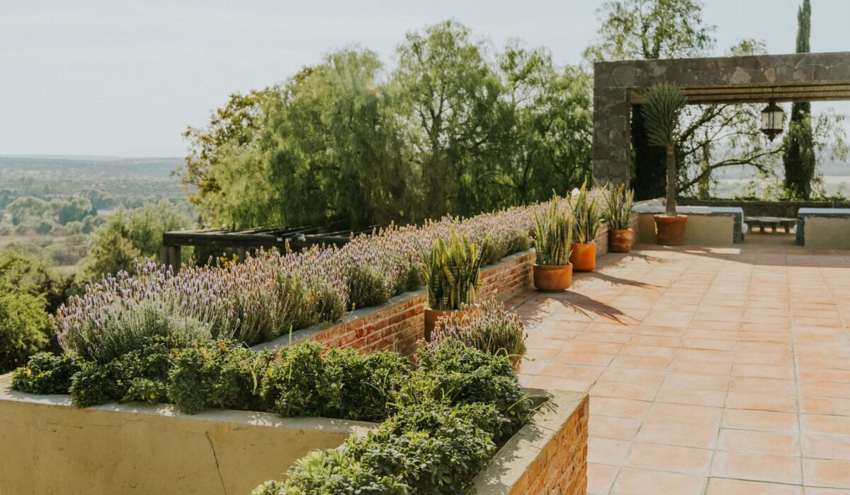 Maximize Space Terrace Garden — Maximize Space Terrace Garden: 7 Smart Ways — Photo by Amar Preciado on Pexels