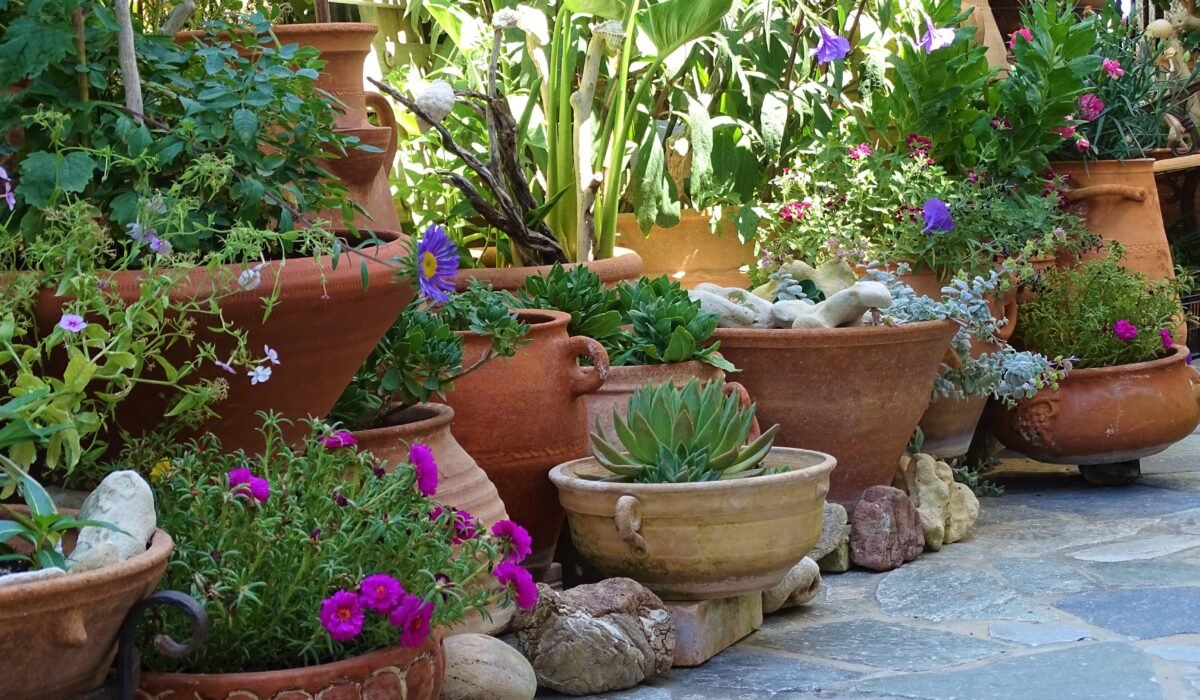 starting a thriving terrace garden — Starting a Thriving Terrace Garden: 7 Essential Steps — Photo by Ekaterinna Popgeorgieva on Pexels