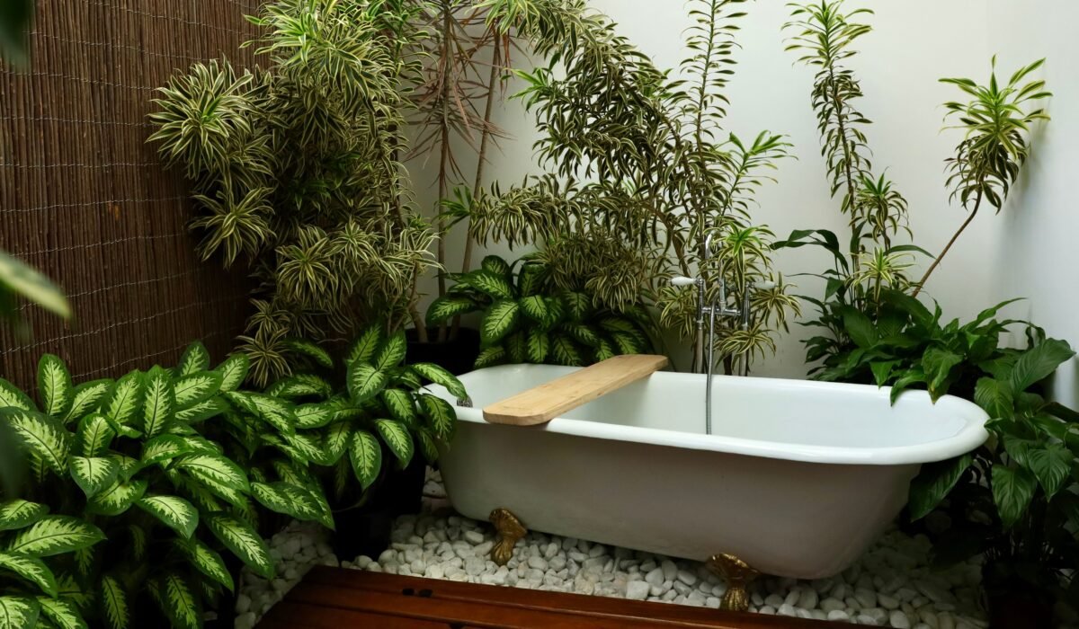 Best Indoor Plants for Bathroom Humidity — Best Indoor Plants for Bathroom Humidity: 10 Essential Picks — Photo by Flávia Vicentini on Pexels