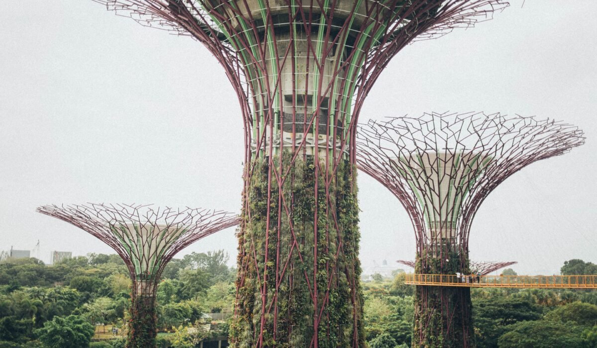 best vertical garden structure types — Best Vertical Garden Structure Types: 7 Essential Options — Photo by Elina Sazonova on Pexels