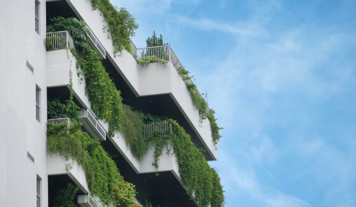 balcony garden water saving — Balcony garden water saving: 7 proven ways to conserve — Photo by Towfiqu barbhuiya on Pexels