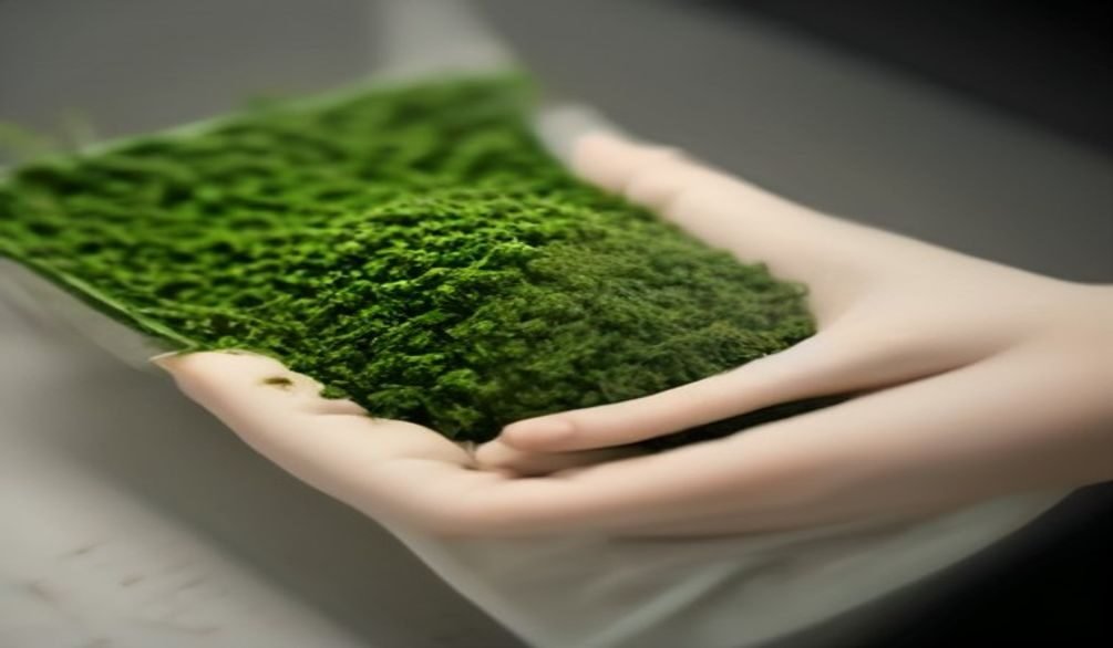 best ways to compost at home — Compost at home: 5 easy methods for organic gardening