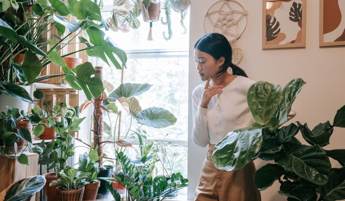 choose right spot indoor plants — Indoor plants: 7 expert ways to choose the right spot — Photo by Sasha Kim on Pexels
