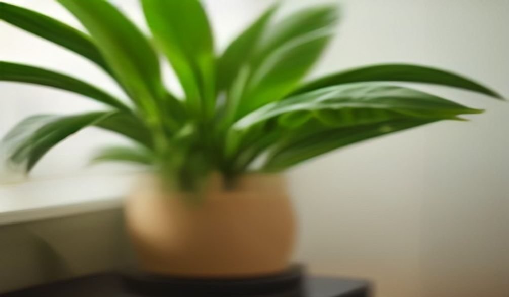indoor plant pest control — Indoor plant pest control: 7 simple ways to keep plants healthy