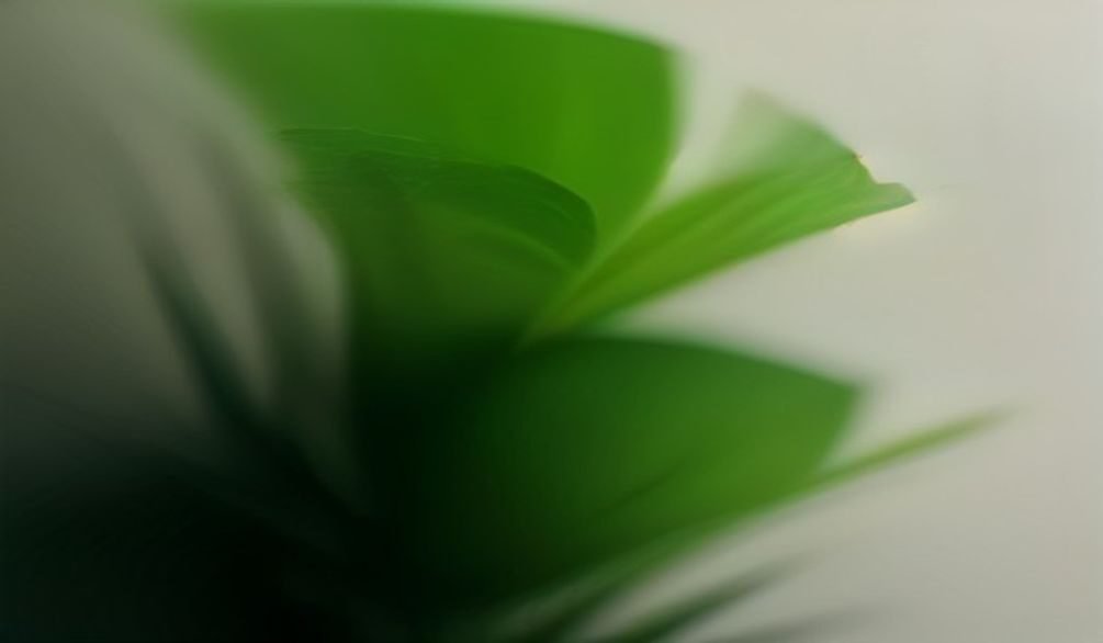 plant browning fixes — Plant browning: 7 proven fixes for green leaves