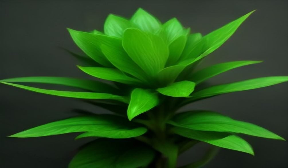 plant nutrient deficiencies — Plant nutrient deficiencies: 7 simple fixes for thriving growth