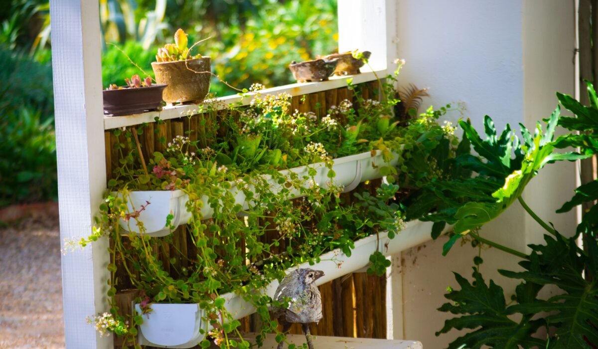 terrace garden water conservation tips — Terrace garden water conservation: 7 proven tips for success — Photo by Ryan Gomo on Pexels