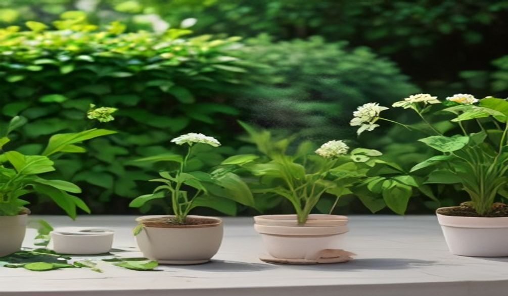 terrace gardening beat heat — Terrace gardening: 7 proven ways to beat heat effectively