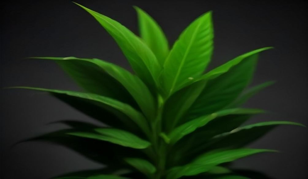 spot plant problems early — Spot plant problems early: 7 easy ways to save your plants