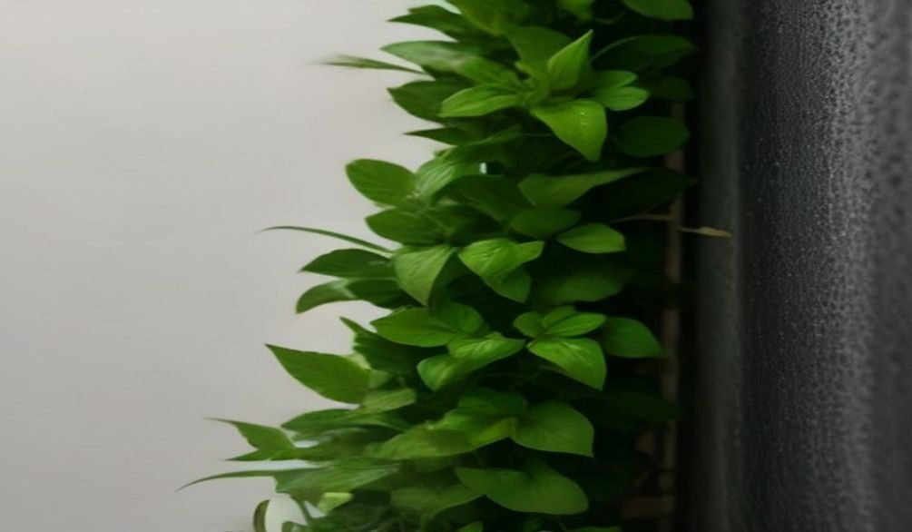 vertical gardening methods — Vertical gardening methods: 8 top ways for lush walls