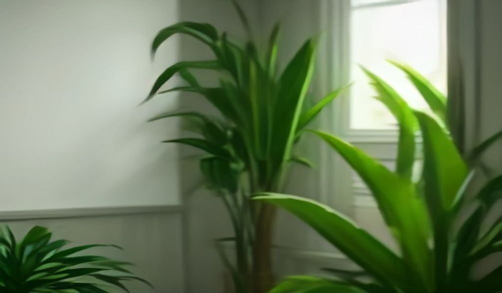 water indoor plants right — Water indoor plants right: 5 simple ways to keep them thriving