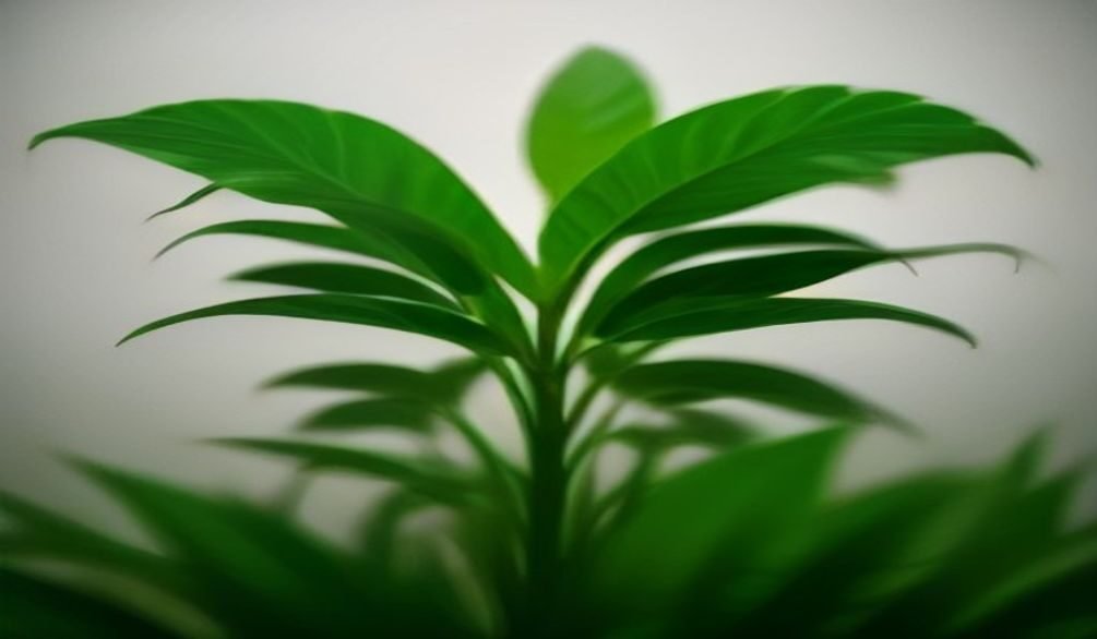 hydroponic plant diseases solutions — Hydroponic plant diseases: 7 proven solutions to common issues